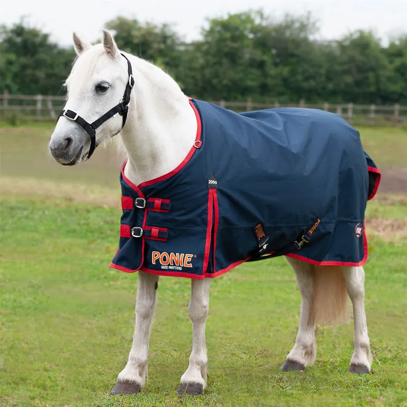 Gallop Trojan Ponie 200g Standard Turnout Rug
