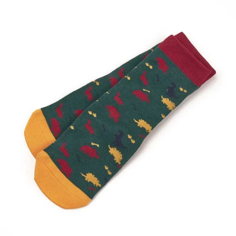 Tikaboo Childs One Size Long Socks in Dinosaur