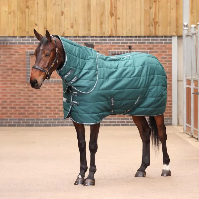 Tempest Original 200 Stable Rug and Neck Set in Emerald