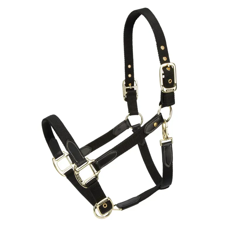 Arma Porto Headcollar in Black