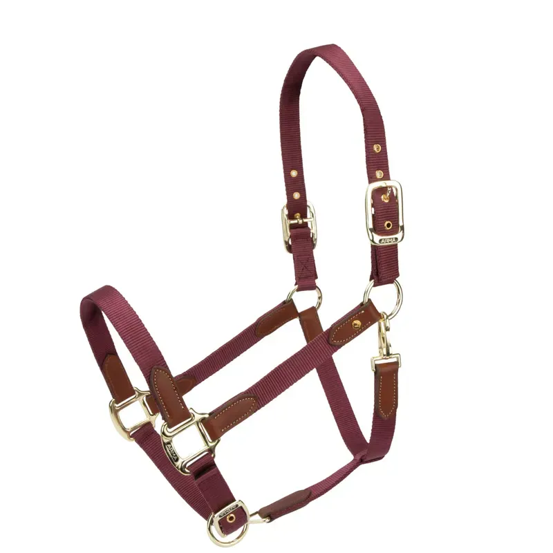 Arma Porto Headcollar in Black Cherry