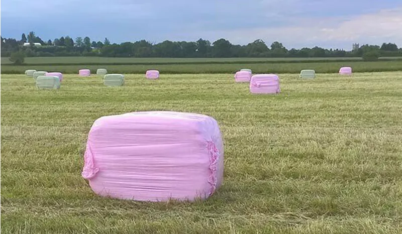 GB Big Bale Rye Haylage