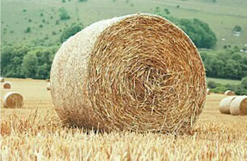 GB Round Bale Pony Hay