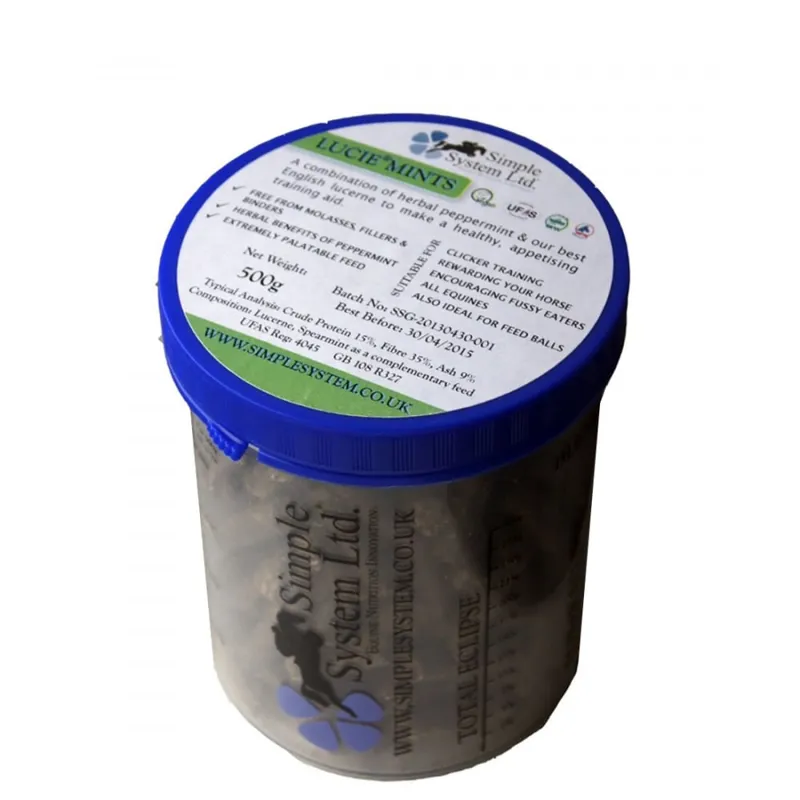 Simple Systems Lucie Mints