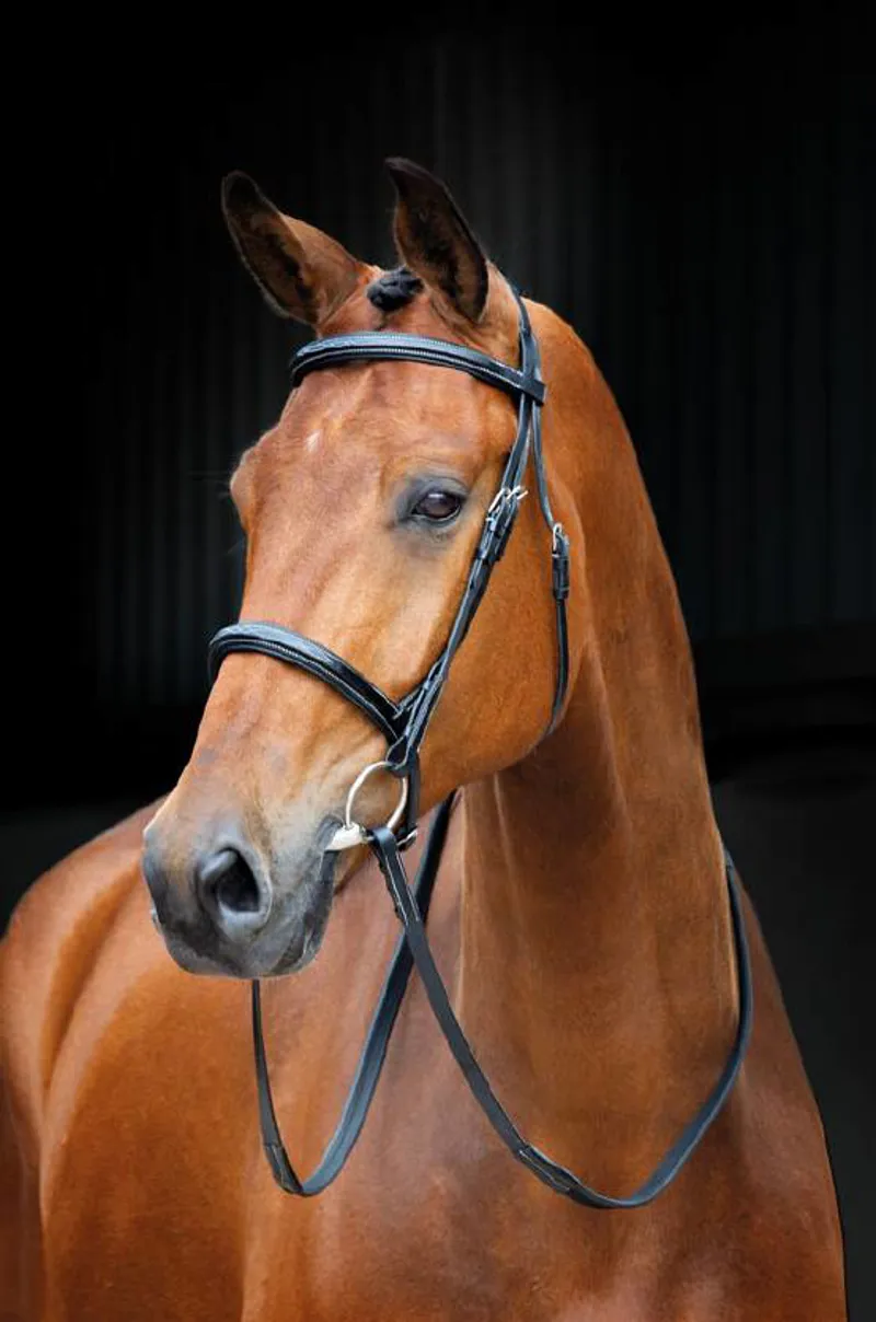 Salisbury Fairford Bridle In Black