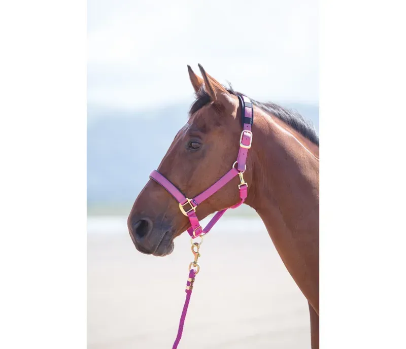 Shires Topaz Nylon Headcollar in Raspberry