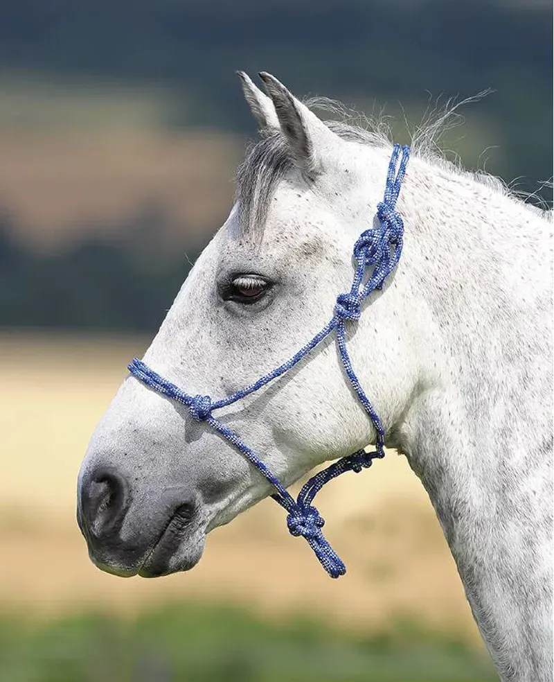 Shires One Size Rope Control Headcollar In Blue