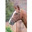 Avignon Padded Raised Flash Bridle in Havana