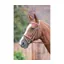 Avignon Padded Raised Flash Bridle in Oak