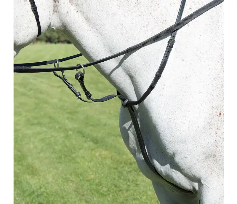 Avignon Running Martingale in Black