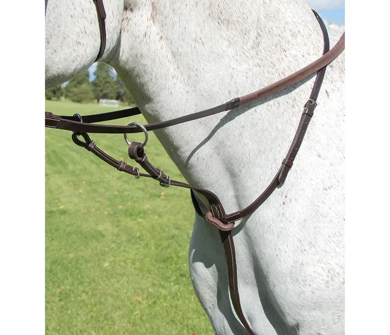 Avignon Running Martingale in Havana