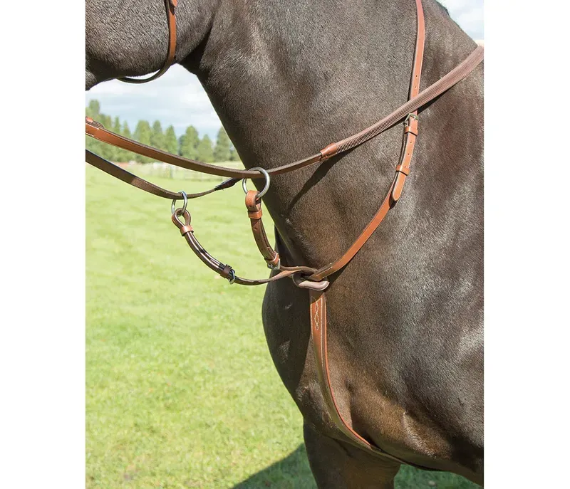 Avignon Running Martingale in Oak