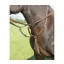 Avignon Running Martingale in Oak