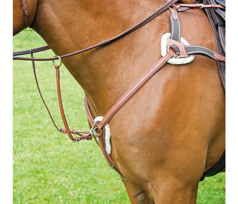Avignon 5 Point Breastplate in Oak