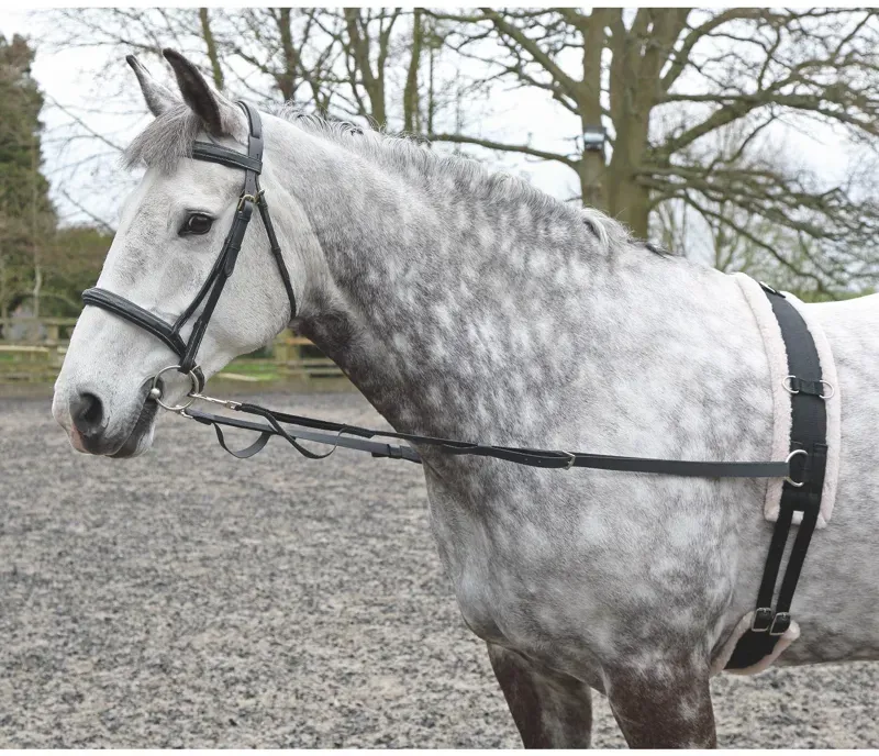 Shires Nylon Web Side Reins in Black