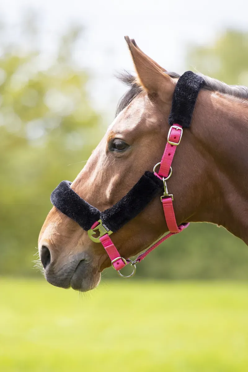 Shires Fleece Lined Headcollar in Pink