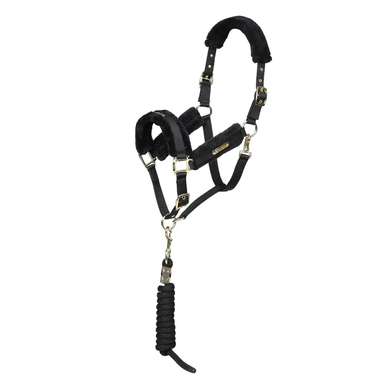 Arma Logo Headcollar and Lead Rope in Black