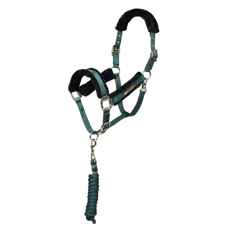 Arma Logo Headcollar and Lead Rope in Green