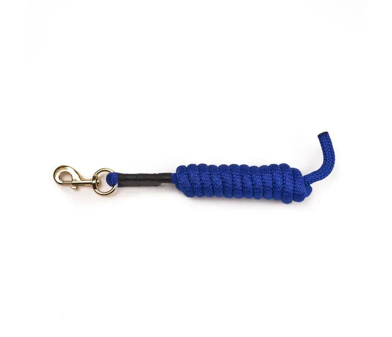 Arma 2 metres Lead Rope in Blue