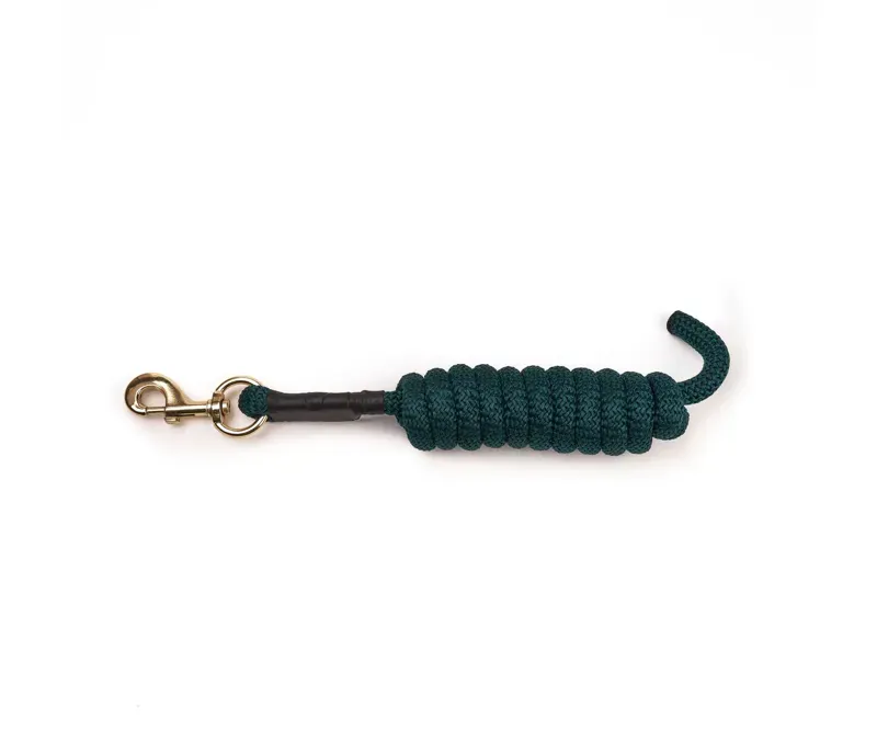 Arma 2 metres Lead Rope in Green