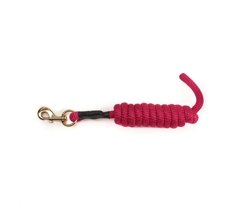 Arma 2 metres Lead Rope in Pink