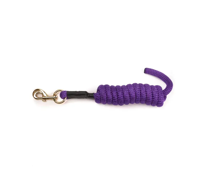 Arma 2 metres Lead Rope in Purple