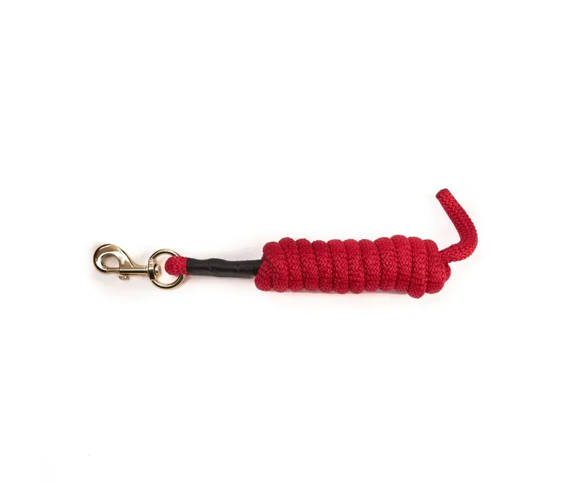 Arma 2 metres Lead Rope in Red