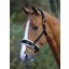 Shires Fleece Lined Lunge Cavesson In Black