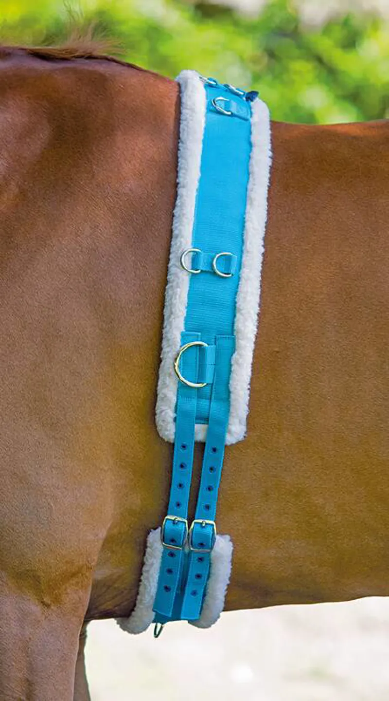 Shires Nylon Roller With Fleece Padding In Blue