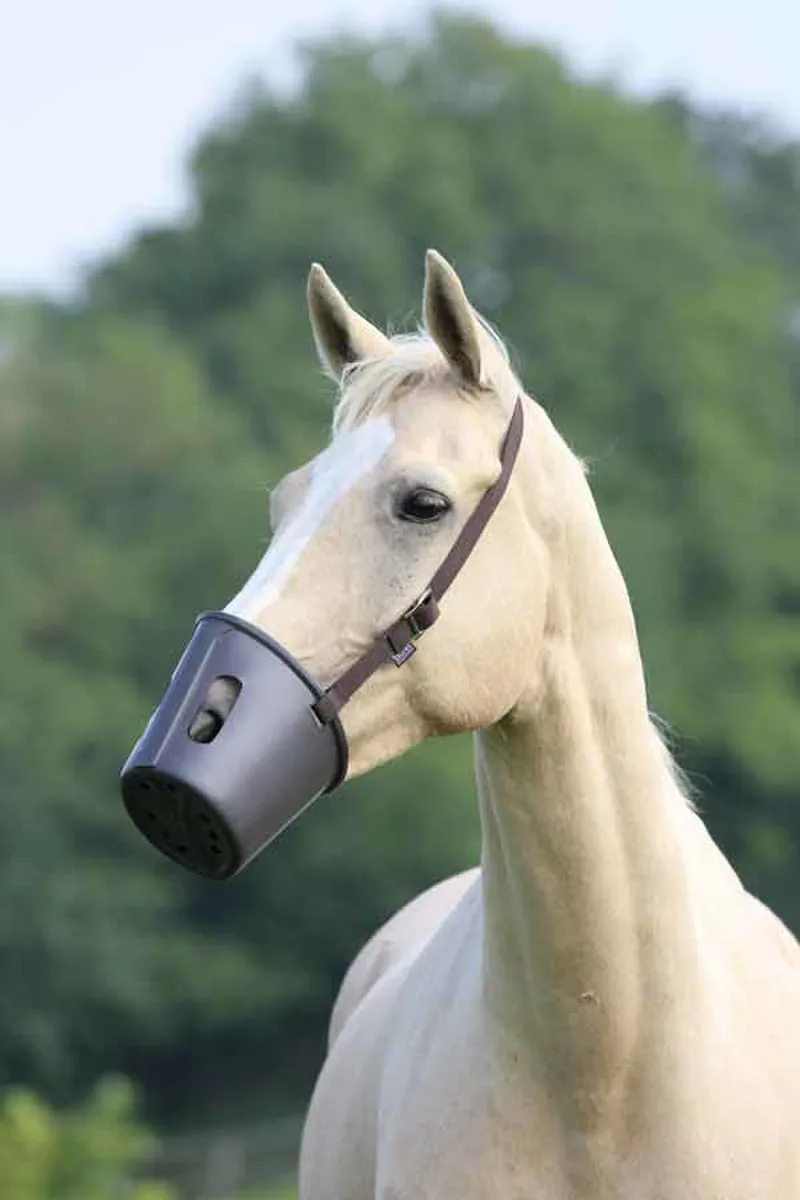 Shires One Size Plastic Muzzle In Brown