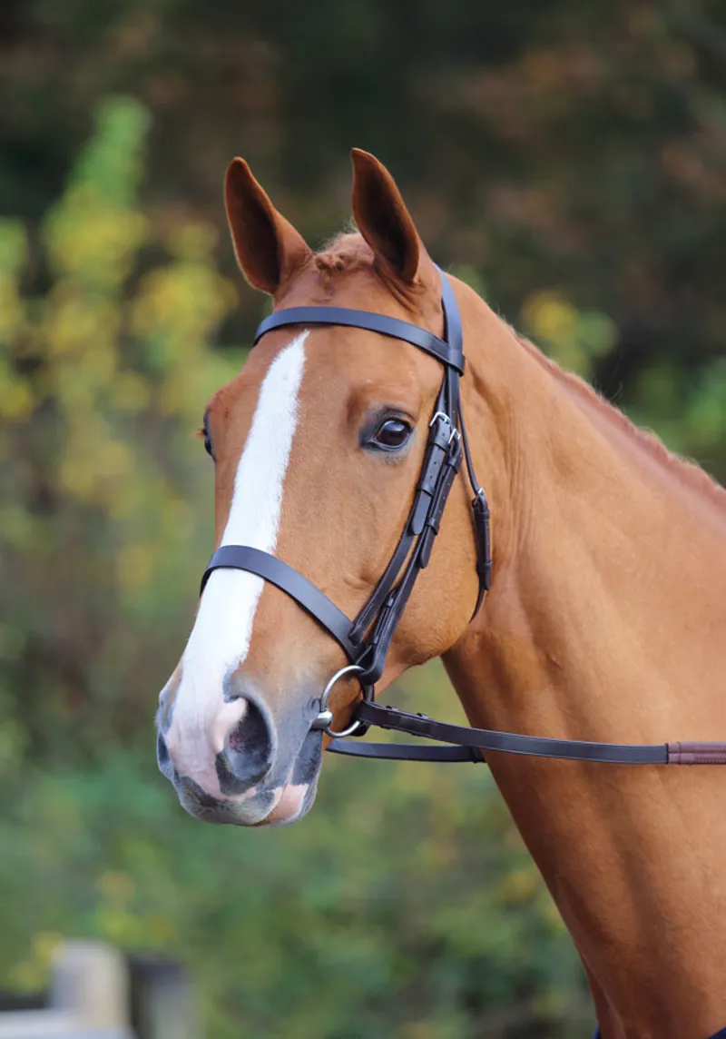 Shires Velociti GARA Plain Bridle in Black