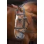 Velociti Padded Raised Flash Bridle in Black