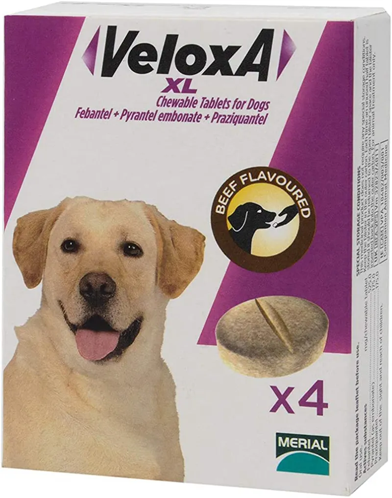 Boehringer-Ingelheim Veloxa XL Chewable Tablets for Dogs - 4-pack