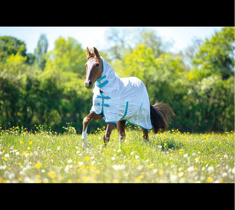 Tempest Original Fly Combo Rug in White