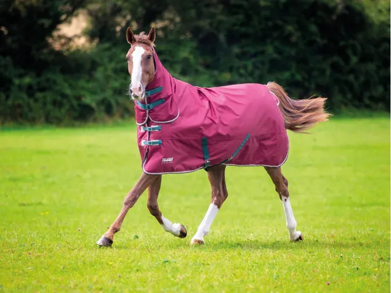 Tempest Original 200 Turnout Combo Rug in Maroon