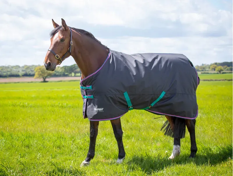 Tempest Original 300 Turnout Rug in Black