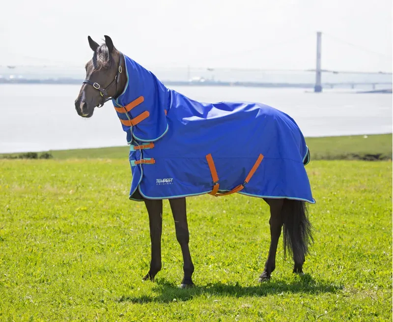 Tempest Original 50 Combo Turnout Rug in Royal