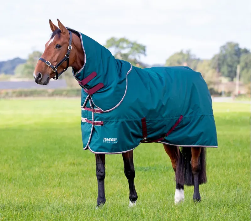 Tempest Original 200 Turnout Rug and Neck Set in Green-1