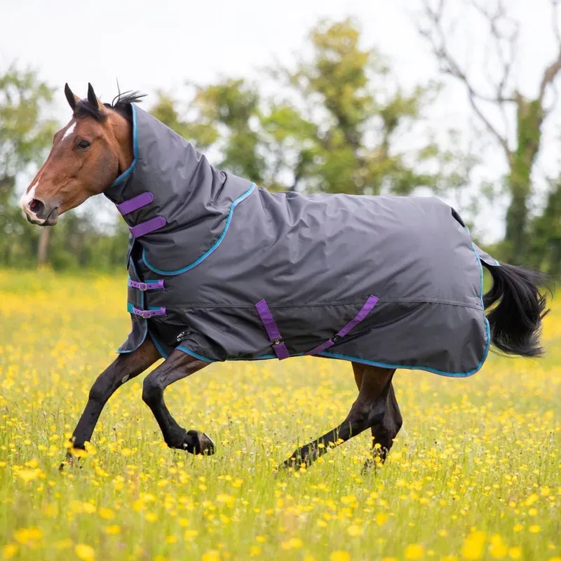 Tempest Original 300 Turnout Rug and Neck Set in Black