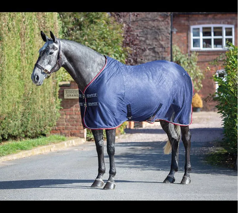 Tempest Original Mesh Cooler Rug in Blue