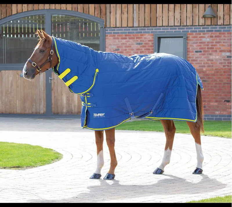 Tempest Original 100 Stable Combo Turnout Rug in Blue