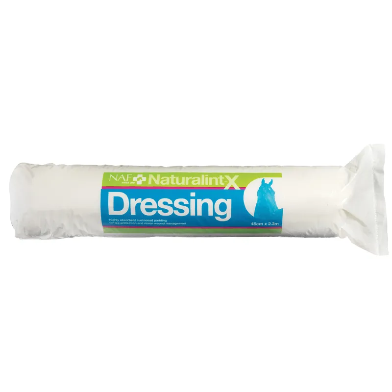 NAF NaturalintX Dressing - 500 gm