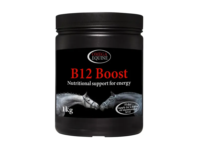 Omega B12 Boost