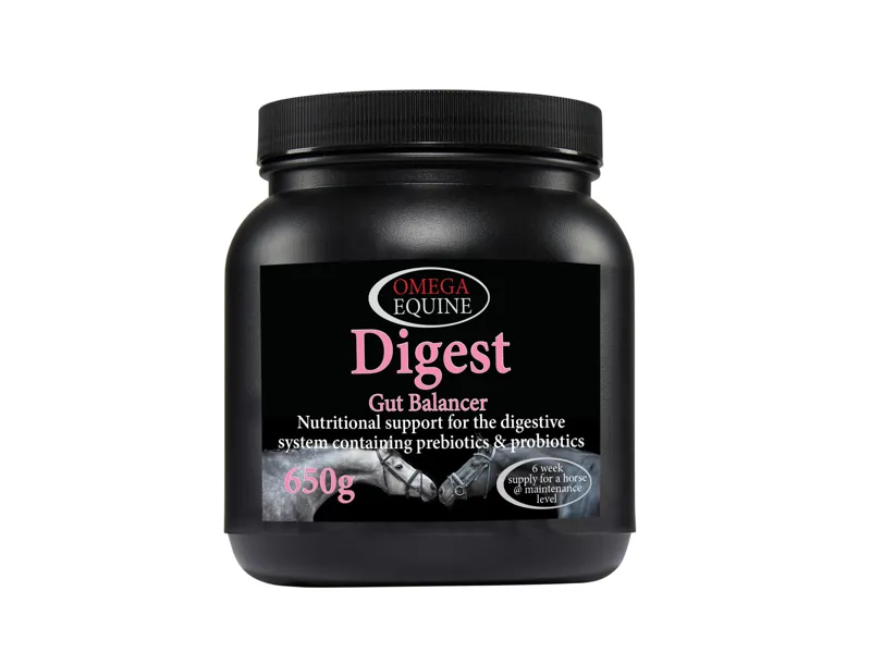 Omega Digest Gut Balancer