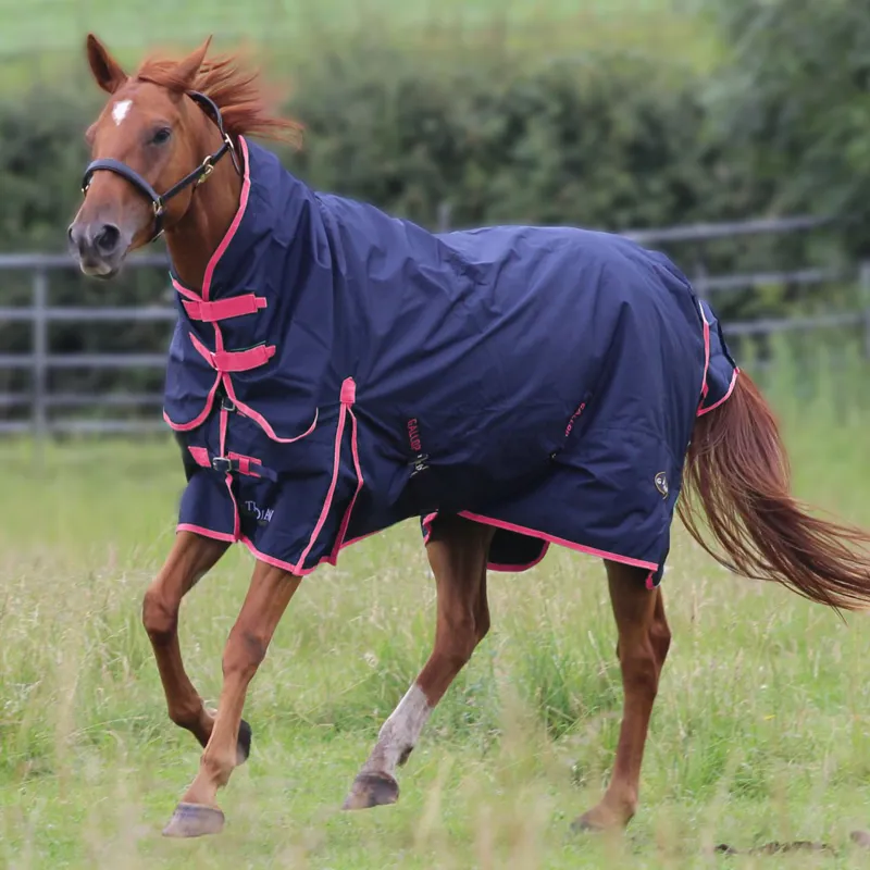 Gallop Trojan 50g Combo Turnout Rug