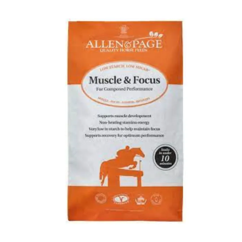 Allen and Page Muscle And Focus
