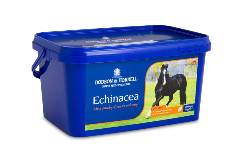 Dodson And Horrell 1kg Echinacea