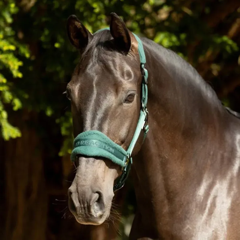 Hy Equestrian ProReaction Dura Fleece Head Collar in Hunter Green