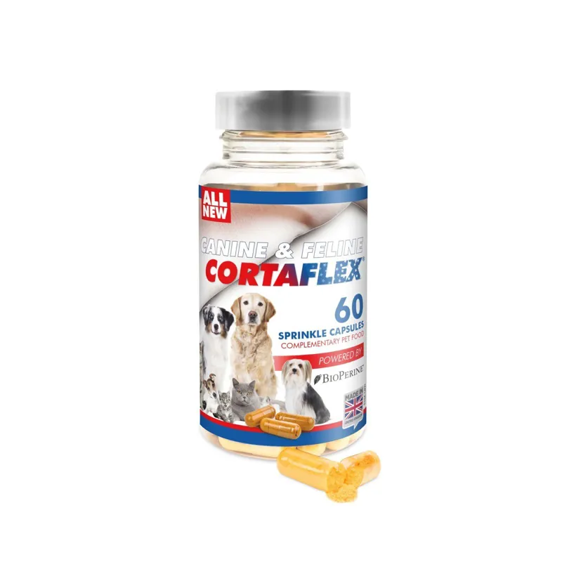 Equine America Canine and Feline Cortaflex Capsules in White