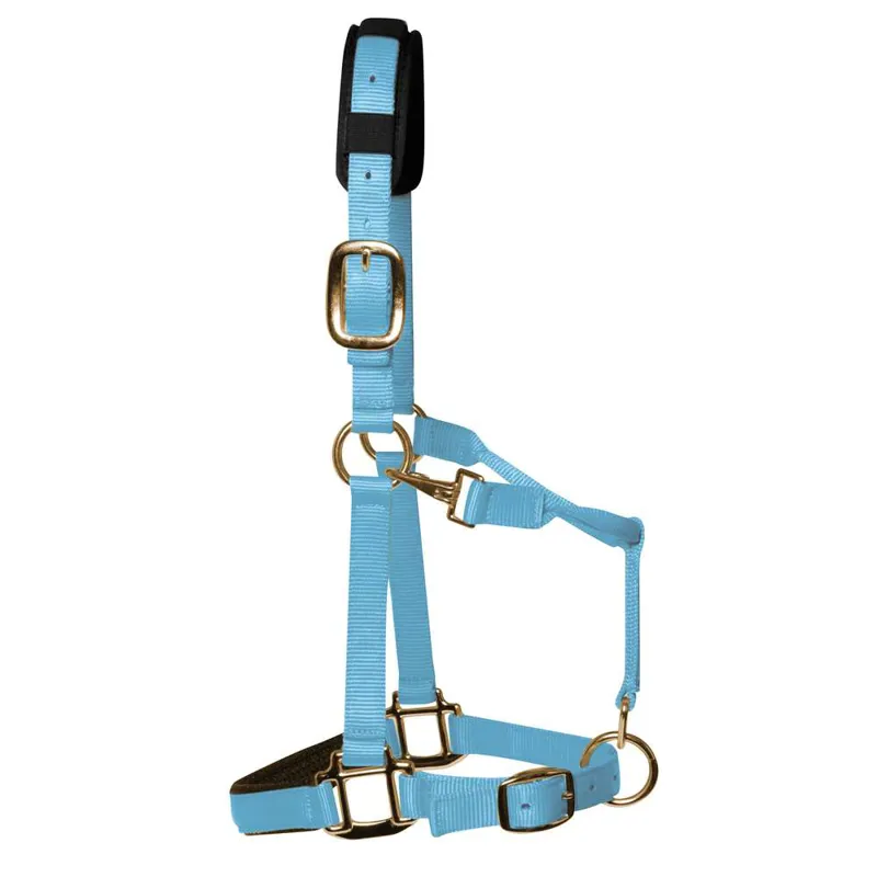 KM Elite Padded Headcollar in Baby Blue